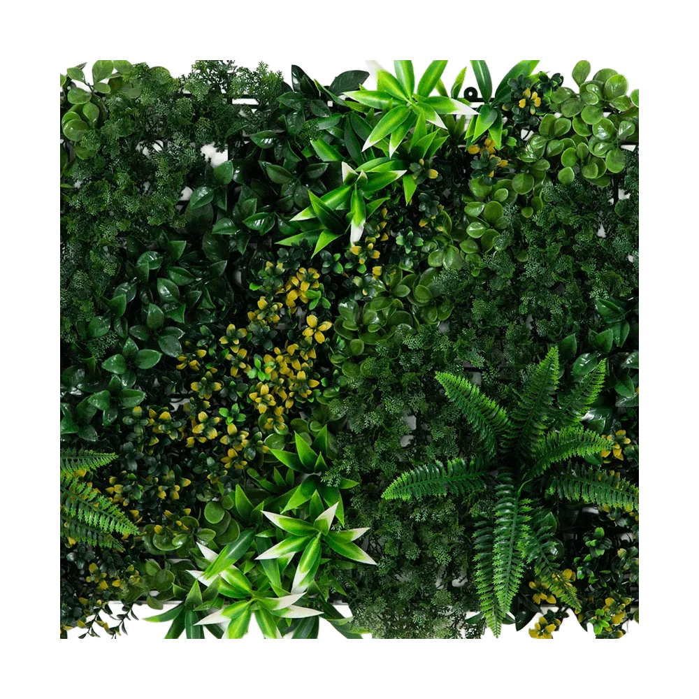 20 x 40 Orizzonte tropicale