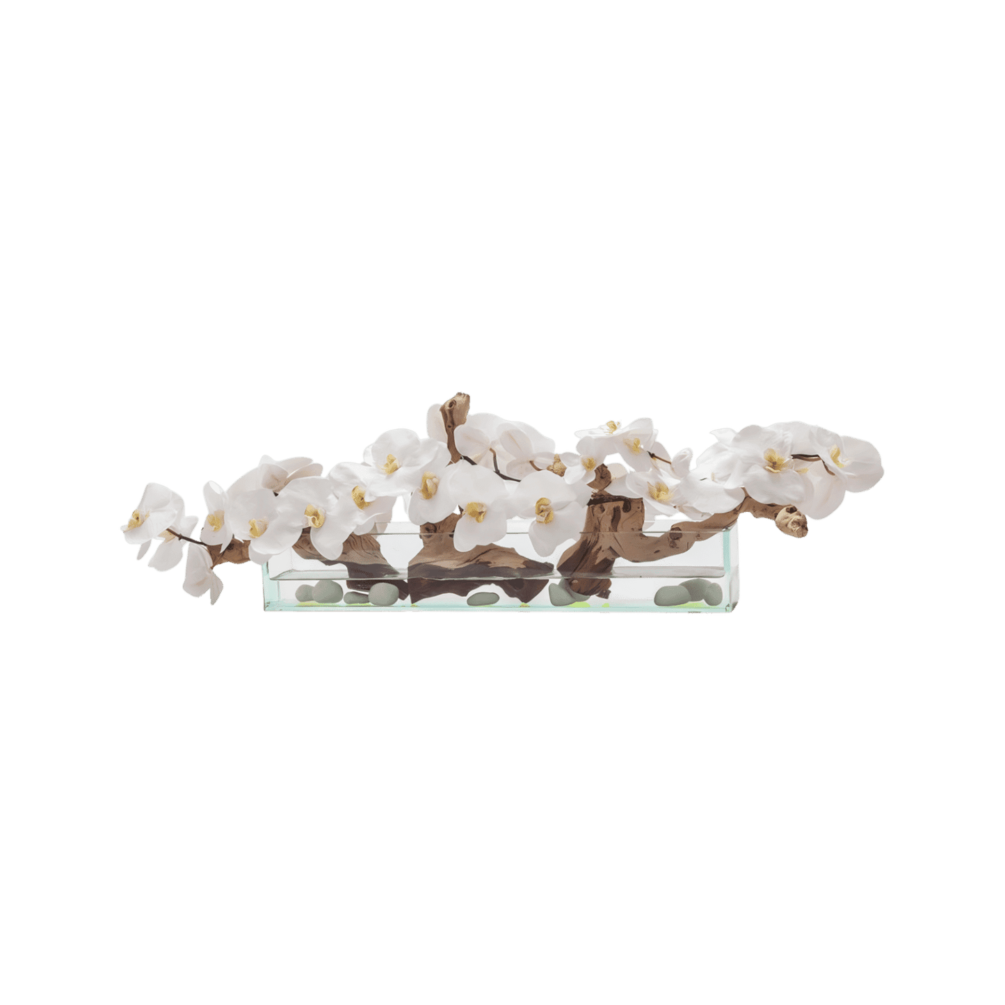 24'' Bianco Orchidea