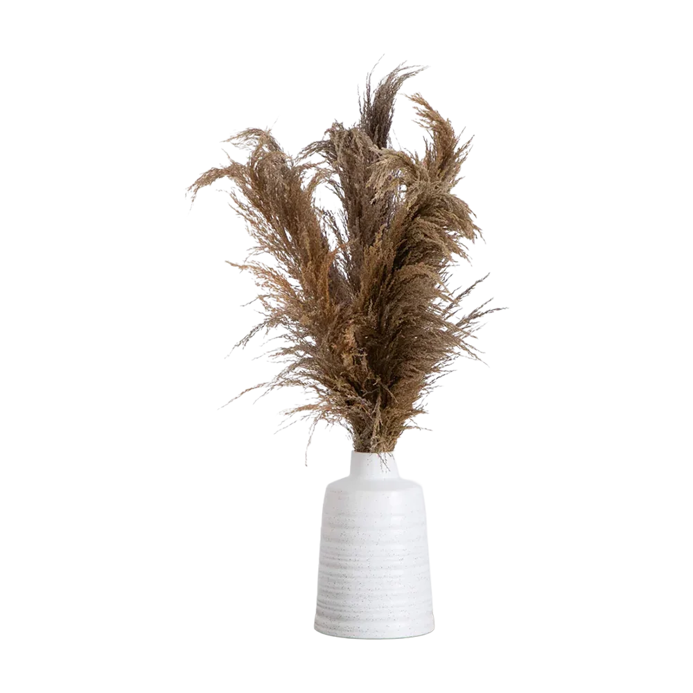 30 Desert Whisper - Pampas naturali essiccate in vaso di ceramica