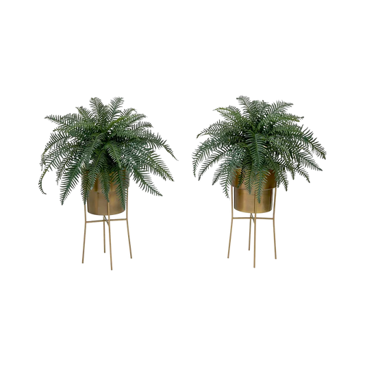 Kit fai da te 34 Verdant Duo con supporto (set di 2)