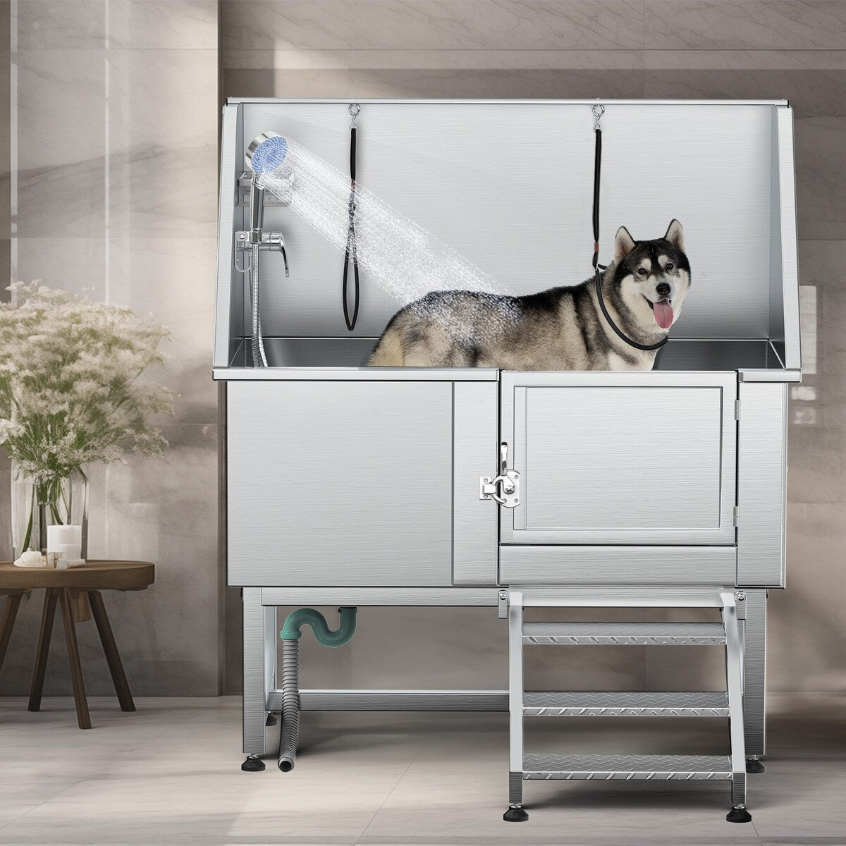 Vasca per la toelettatura di animali domestici regolabile in acciaio inossidabile da 50'' di larghezza con scaletta e rampa.