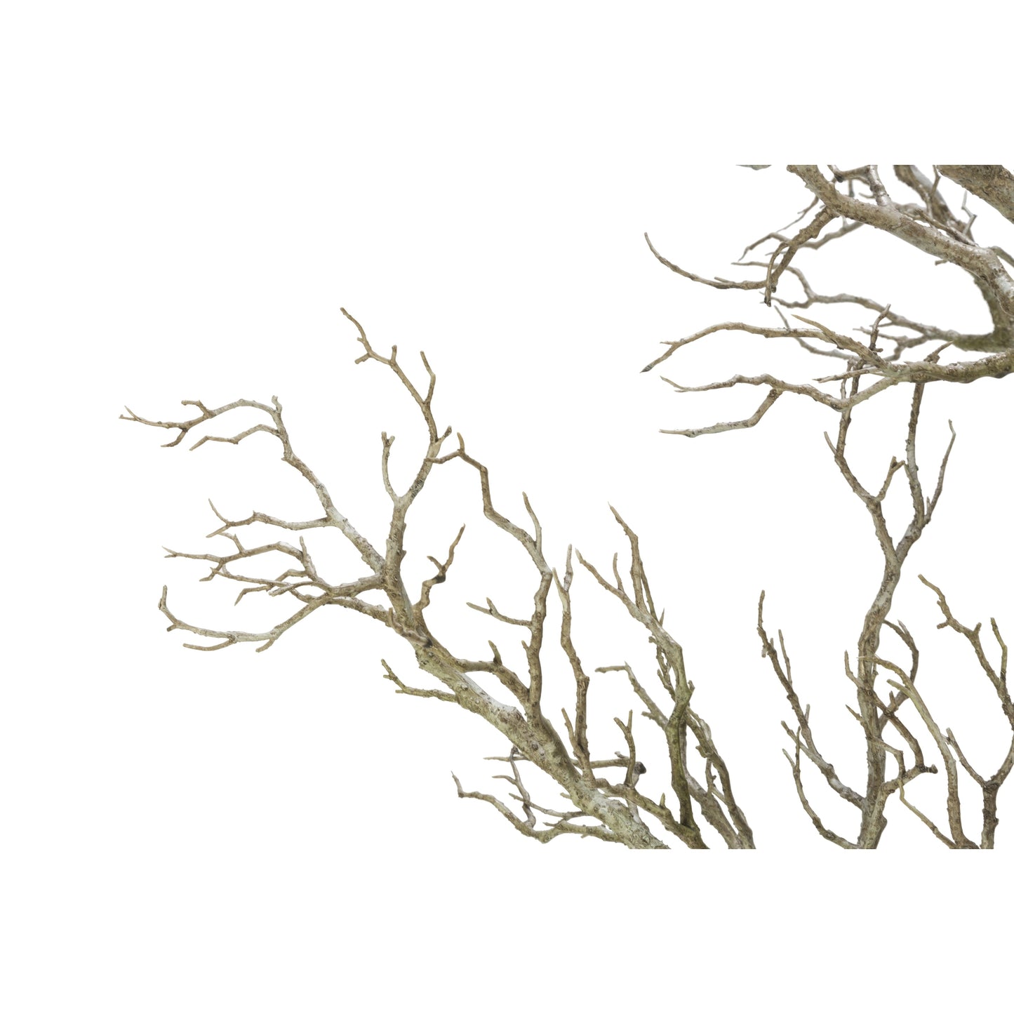 96 Albero di legno morto con rami