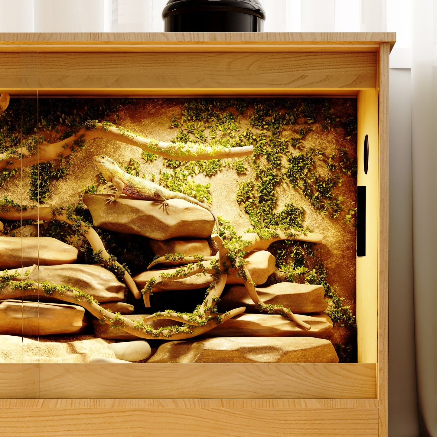 Habitat per Rettili - Ampio Terrario per Lucertole, Serpenti e altro - 47.2