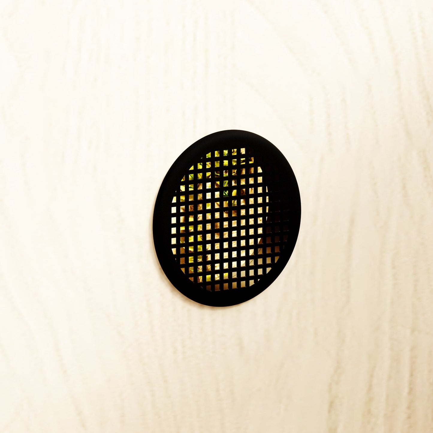 Habitat per Rettili - Ampio Terrario per Lucertole, Serpenti e altro - 47.2