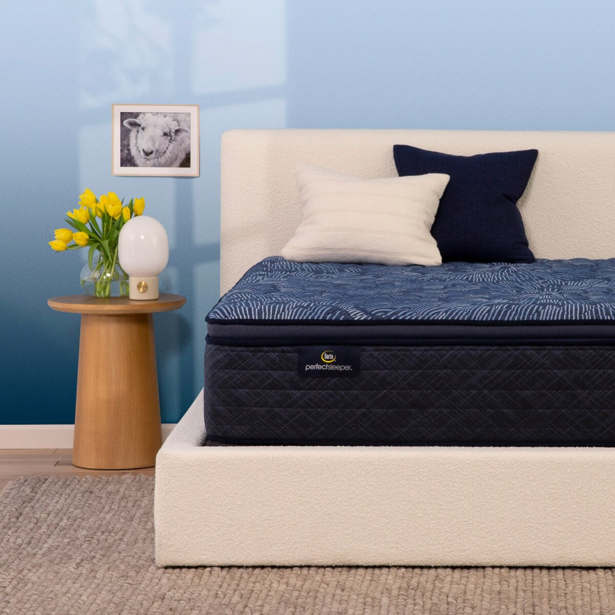 Set materasso Serta Perfect Sleeper Oasis Sleep 14.5 con strato superiore a imbottitura soffice e struttura rigida.