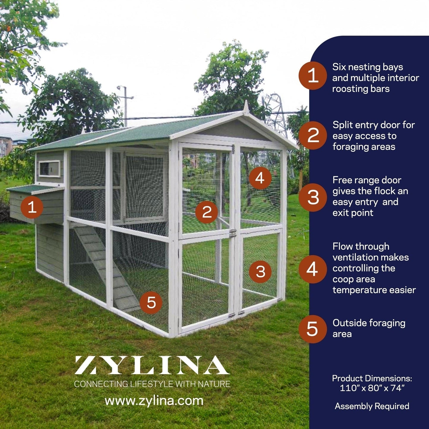 Pollinaio Zylina Big Green