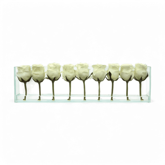 24 Rose con Vaso a Filo Bianco