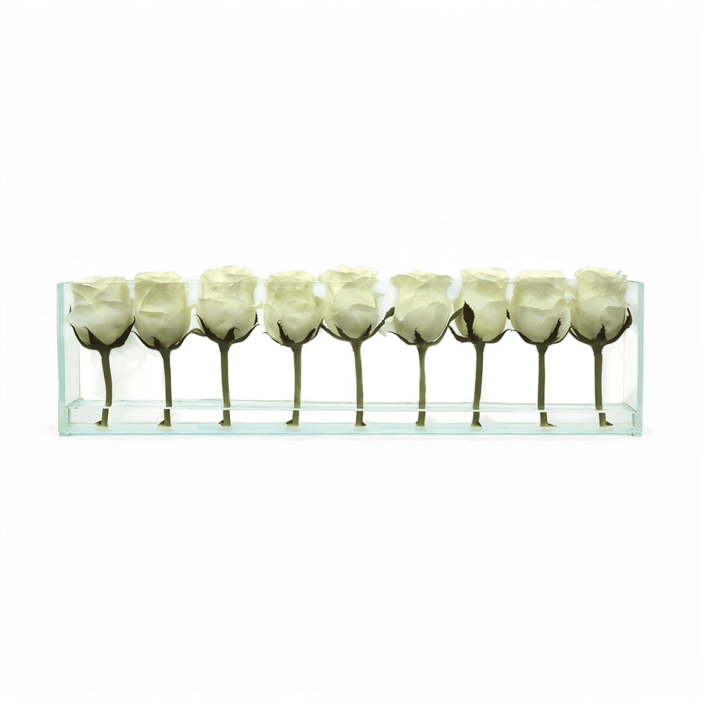 24 Rose con Vaso a Filo Bianco