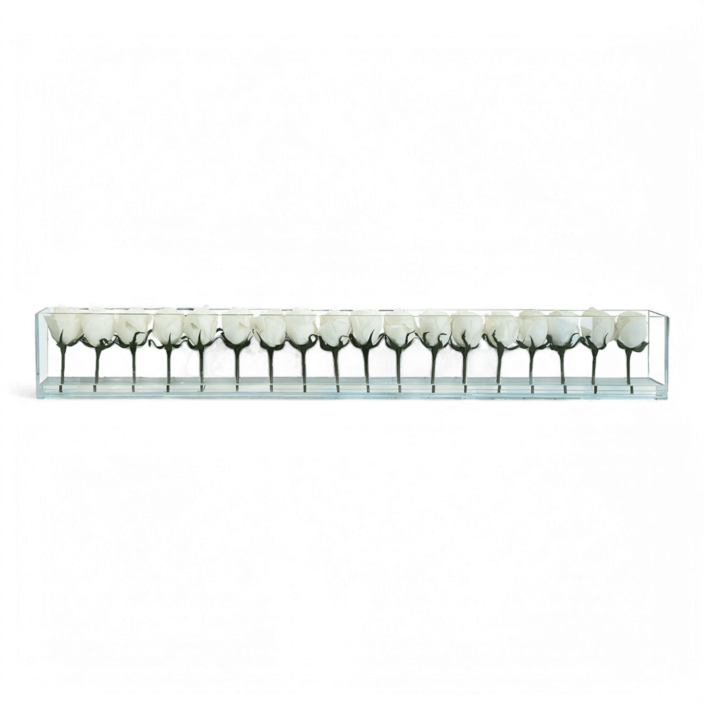 48 Rose con Vaso a Filo Bianco