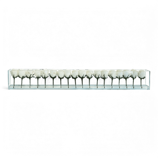 48 Rose con Vaso a Filo Bianco