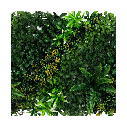 20 x 40 Orizzonte tropicale