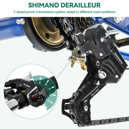 Bicicletta triciclo per adulti da 26 pollici, 3 ruote, 7 velocità.