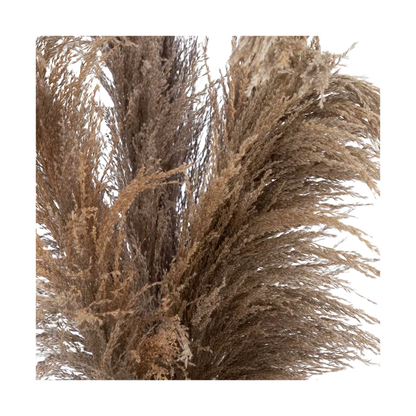 30 Desert Whisper - Pampas naturali essiccate in vaso di ceramica