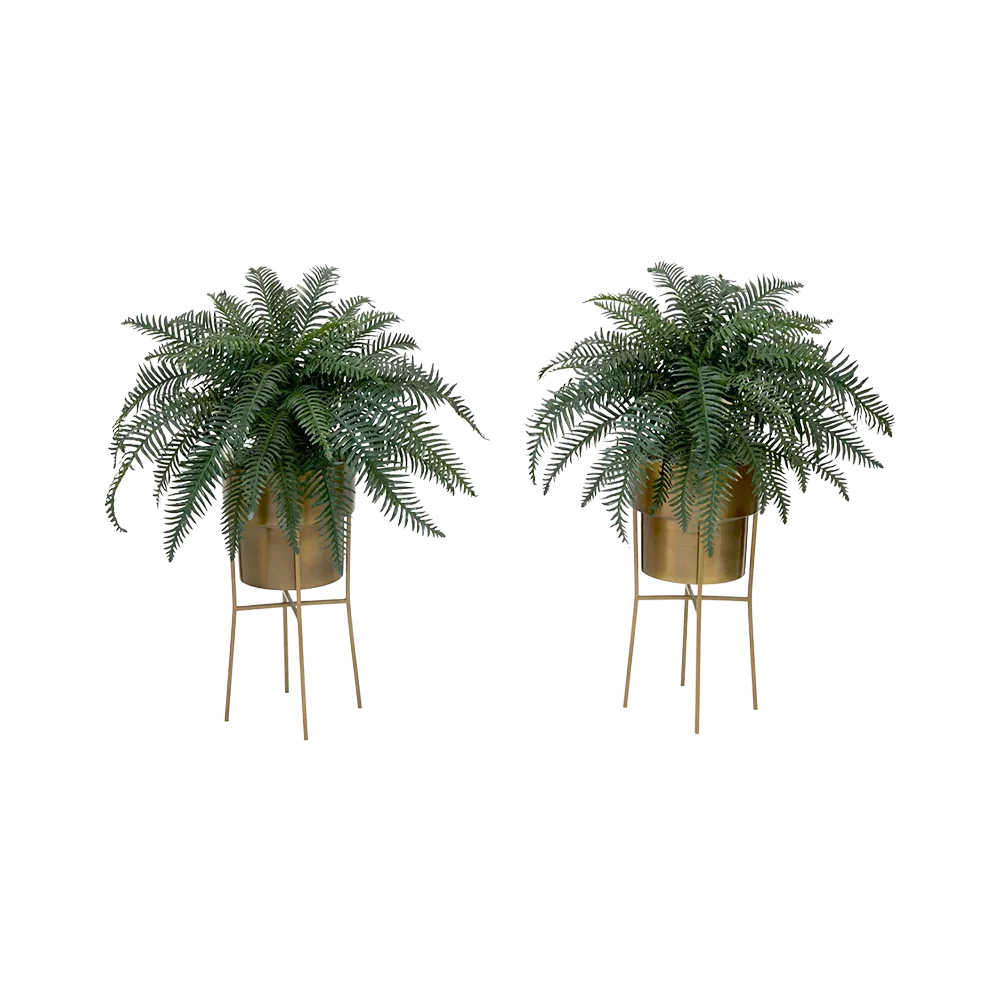 Kit fai da te 34 Verdant Duo con supporto (set di 2)