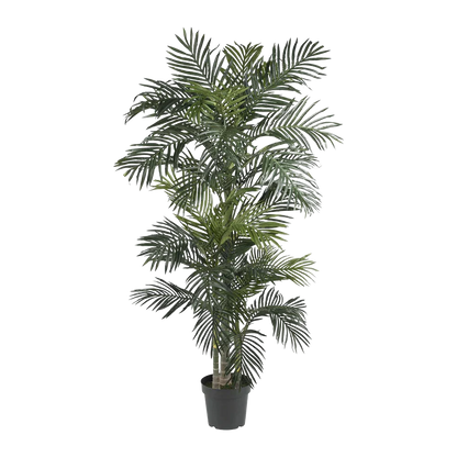 Palma Suncrest da 6,5 ​​piedi