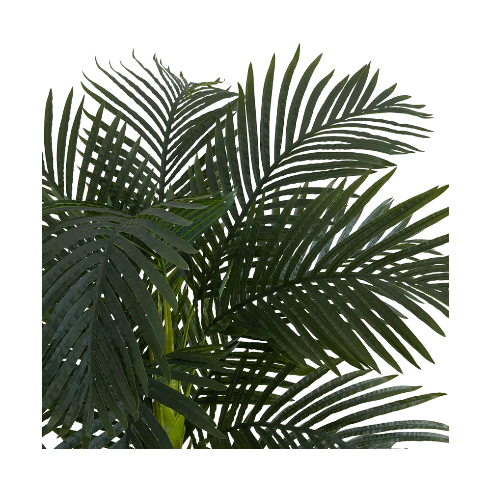 Palma Suncrest da 6,5 ​​piedi