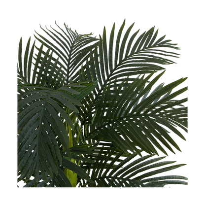 Palma Suncrest da 6,5 ​​piedi