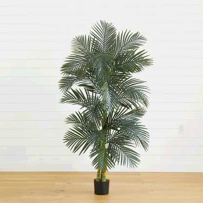 Palma Suncrest da 6,5 ​​piedi