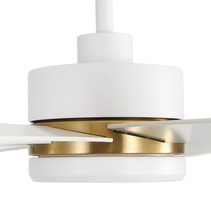 Ventilatore da soffitto a LED nero da 65 pollici con 8 pale, luce e telecomando.