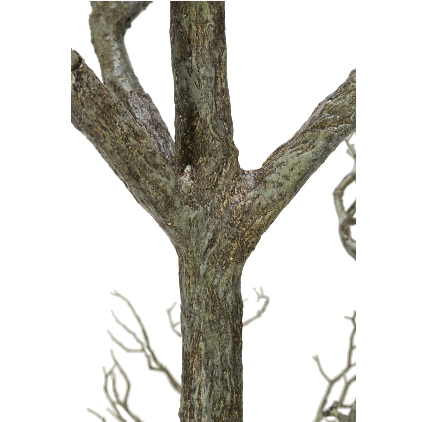 96 Albero di legno morto con rami