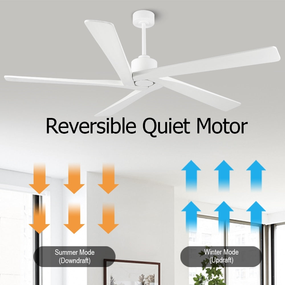 Ventilatore da soffitto interno WINGBO da 54 pollici con motore DC, senza luci - N/A