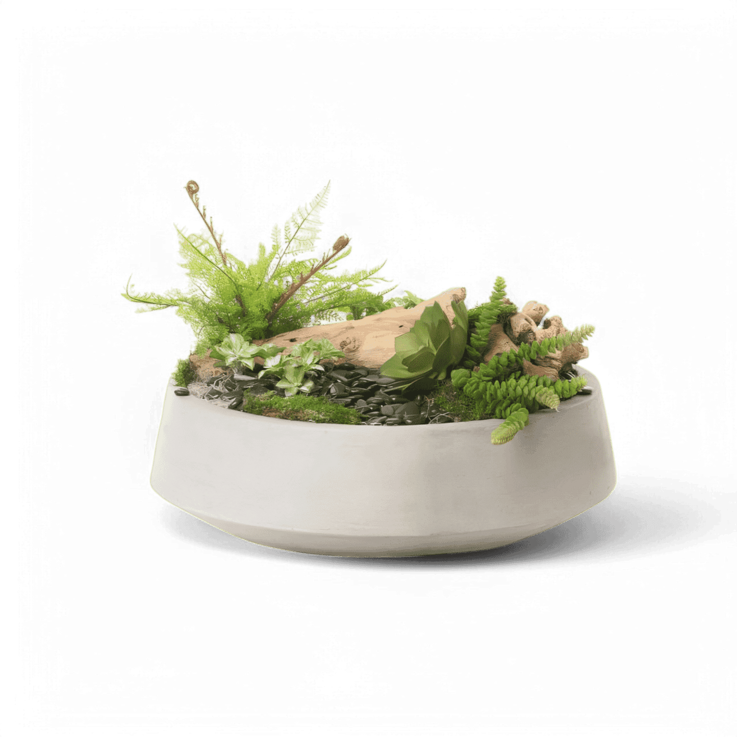 21 Disposizione di beatitudine