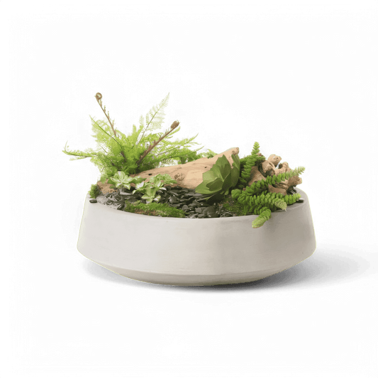 21 Disposizione di beatitudine