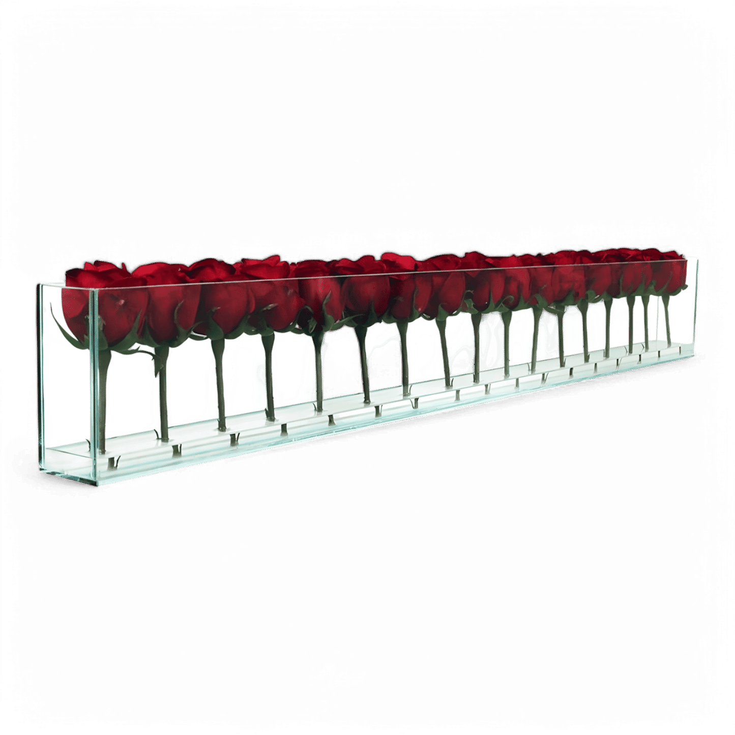 48 Rose con Vaso a Filo Rosso