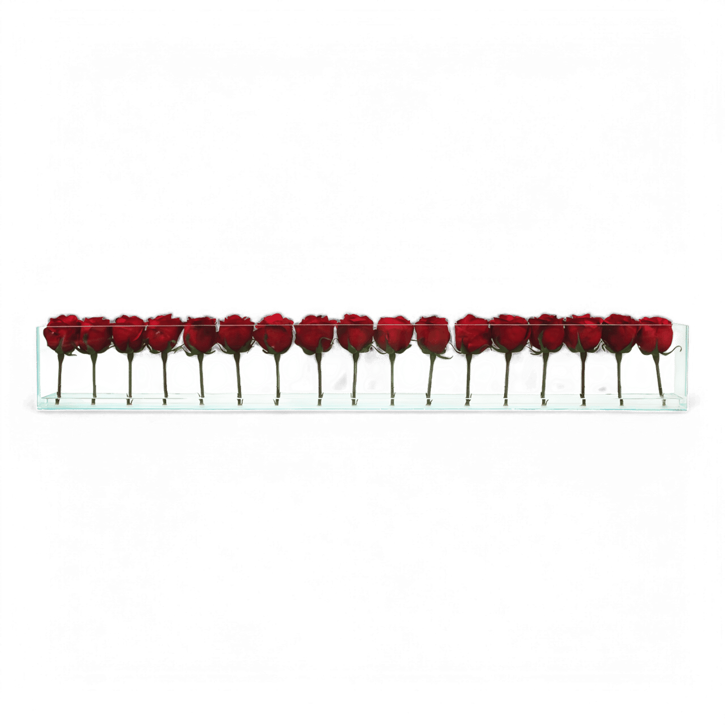48 Rose con Vaso a Filo Rosso