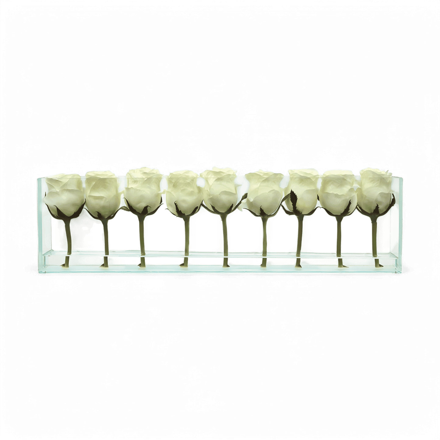 24 Rose con Vaso a Filo Bianco