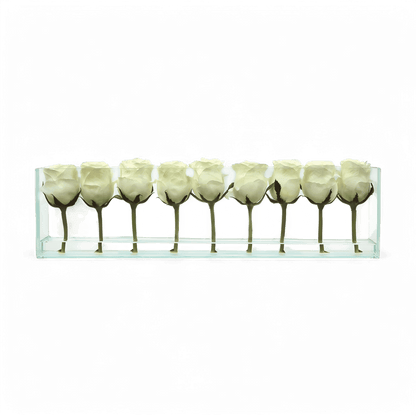 24 Rose con Vaso a Filo Bianco