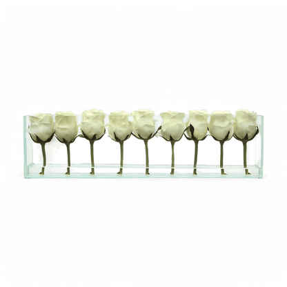 24 Rose con Vaso a Filo Bianco