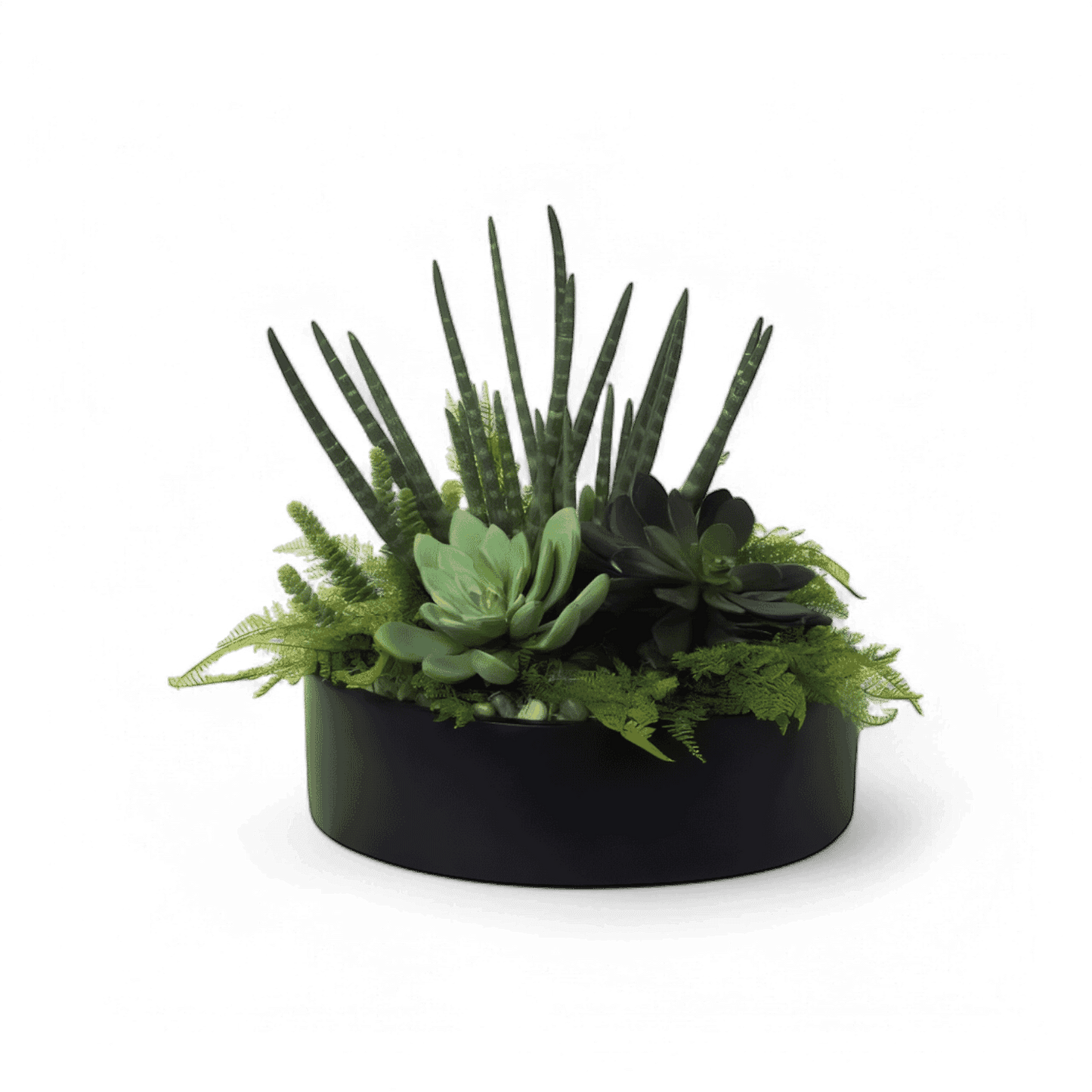 19 Disposizione giungla urbana